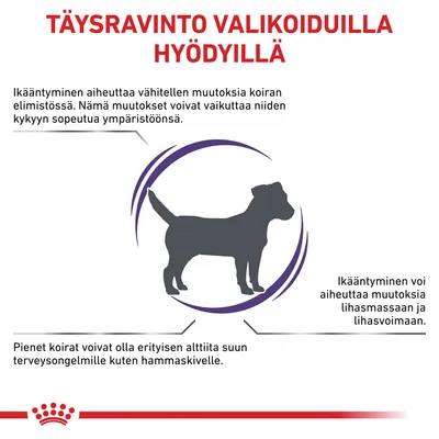 TÄYSRAVINTO VALIKOIDUILLA HYÖDYILLÄ. Ikääntyminen aiheuttaa muutoksia koiran elimistössä, lihasmassassa ja lihasvoimassa. Pienet koirat alttiita suun terveysongelmille kuten hammaskivelle.