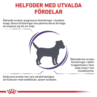 Helfoder med utvalda fördelar: information om åldrande hos hundar, påverkan på kropp, muskelstyrka och tandhälsa. Texten nämner fettfri kroppsmassa och risk för tandsten hos småvuxna hundar.