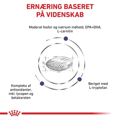 ERNÆRING BASERET PÅ VIDENSKAB. Moderat fosfor og natrium indhold, EPA+DHA, L-carnitin. Kompleks af antioxidanter inkl. lycopen og betakaroten. Beriget med L-tryptofan.