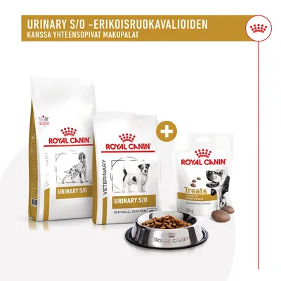 Royal Canin Urinary S/O -koiranruokapakkaukset ja Treats-makupalat, teksti: URINARY S/O -ERIKOISRUOKAVALIOIDEN kanssa yhteensopivat makupalat. Ruokakuppi edessä.