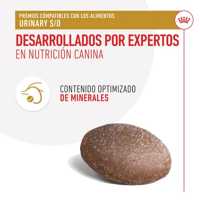 Premios compatibles con los alimentos Urinary S/O. Desarrollados por expertos en nutrición canina. Contenido optimizado de minerales. Imagen de un premio marrón redondeado. Premios compatibles con los alimentos Urinary S/O. Desarrollados por expertos en nutrición canina. Contenido optimizado de minerales. Imagen de un premio marrón redondeado.