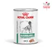 Royal Canin Veterinary Canine Glycobalance Low Carbohydrate Loaf