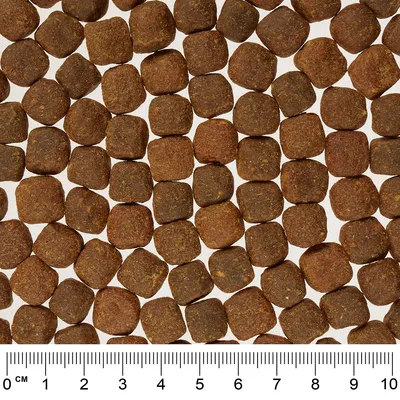 Close-up van bruine, vierkante brokjes droogvoer met een centimetermaat onderaan voor het bepalen van de grootte.
