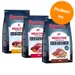 3 x 1 kg Rocco Mealtime - gemengd Probeerpakket