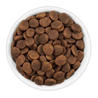 Schüssel mit braunen, runden Trockenfutterstücken. Produktabbildung für Tiernahrung.