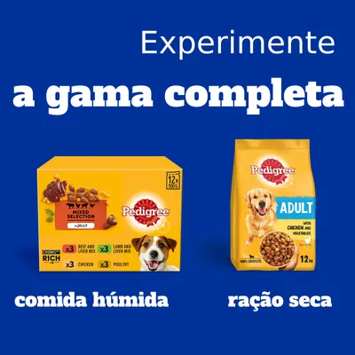 Pedigree Mixed Selection comida húmida em saquetas 12x100g e Pedigree Adult ração seca com frango e vegetais 12 kg. Texto: Experimente a gama completa, comida húmida, ração seca.