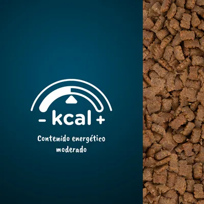 Pienso marrón a la derecha y gráfico con texto: '- kcal + Contenido energético moderado' sobre fondo azul. Indica nivel calórico del producto.