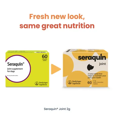 Seraquin Joint Tablets for Dogs 2g
