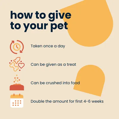 Seraquin Joint Tablets for Dogs 2g