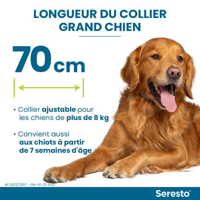 Longueur du collier grand chien 70 cm. Collier ajustable pour chiens de plus de 8 kg, convient aussi aux chiots à partir de 7 semaines d’âge. Marque Seresto visible.