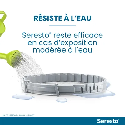 Texte : RÉSISTE À L’EAU. Seresto reste efficace en cas d’exposition modérée à l’eau. Image d’un collier Seresto arrosé par un arrosoir vert, logo Seresto en bas à droite.
