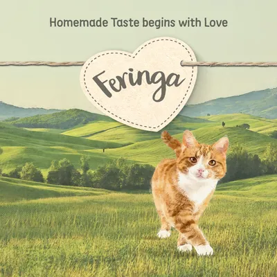 Feringa. Homemade Taste begins with Love (texte en anglais) sur fond de paysage vert avec un chat roux et blanc au premier plan.
