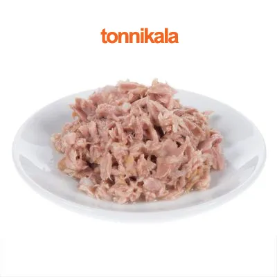 Annos tonnikalaa valkoisella lautasella, yläpuolella oranssi teksti 'tonnikala'.