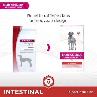 Comparaison de deux sacs Eukanuba Veterinary Diets Intestinal 12 kg pour chiens, ancien et nouveau design. Texte visible : recette raffinée dans un nouveau design, à partir de 1 an.
