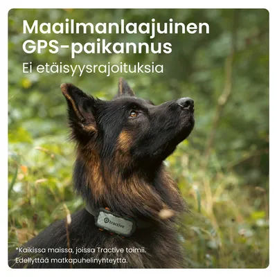 Maailmanlaajuinen GPS-paikannus. Ei etäisyysrajoituksia. *Kaikissa maissa, joissa Tractive toimii. Edellyttää matkapuhelinyhteyttä.