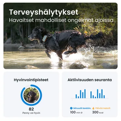 Terveys­hälytykset: Havaitset mahdolliset ongelmat ajoissa. Hyvinvointipisteet 82, Penny voi hyvin. Aktiivisuuden seuranta: 100 min keskimäärin, 300 kcal päivässä.