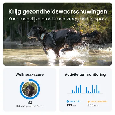 Krijg gezondheidswaarschuwingen. Kom mogelijke problemen vroeg op het spoor. Wellness-score 82, het gaat goed met Penny. Activiteitenmonitoring: gemiddeld 100 min, 300 kcal.