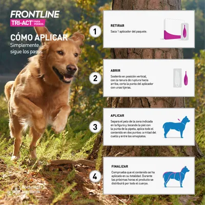 Instrucciones de uso de Frontline Tri-Act para perros: 1. Extraer el aplicador, 2. Cortar la punta, 3. Aplicar en cuello y hombros, 4. Comprobar la distribución.