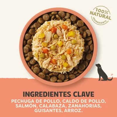 100% ingredientes naturales. Ingredientes principales: pechuga de pollo, caldo de pollo, salmón, calabaza, zanahorias, guisantes, arroz. 100% ingredientes naturales. Ingredientes principales: pechuga de pollo, caldo de pollo, salmón, calabaza, zanahorias, guisantes, arroz.