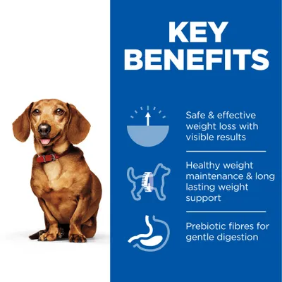 Key benefits: safe and effective weight loss with visible results, healthy weight maintenance and long-lasting weight support, prebiotic fibres for gentle digestion.