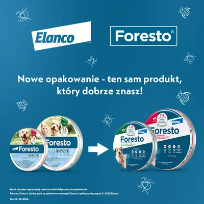 Foresto, obroża przeciwko pchłom i kleszczom