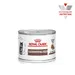 Royal Canin Veterinary Cat - Kitten Gastrointestinal Ultra Soft Mousse