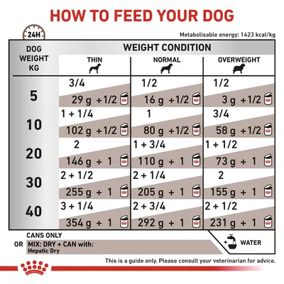 Feeding guide table showing daily food amounts by dog weight and condition: thin, normal, overweight. Includes grams and can portions for weights 5–40kg. Water symbol shown.