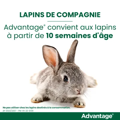 Advantage convient aux lapins de compagnie à partir de 10 semaines d'âge. Ne pas utiliser chez les lapins destinés à la consommation. Advantage.