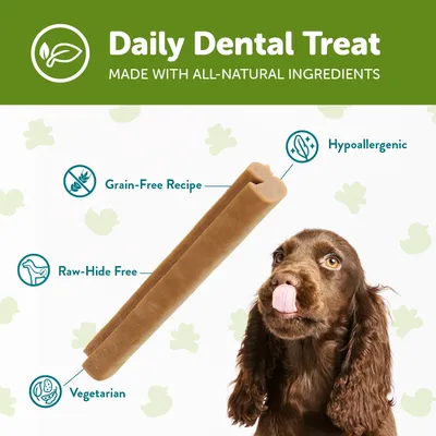 Daily dental treat made with all-natural ingredients. Features: grain-free recipe, hypoallergenic, raw-hide free, vegetarian. Image shows treat stick and a dog.