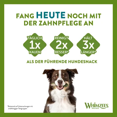 Texte en allemand : Täglich 1x kauen, reinigt 2x besser*, hält 3x länger* als der führende Hundesnack. Marque visible : Whimzees Wellness. Chien tenant une friandise verte.