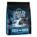 Wild Freedom Adult "Cold River" met zalm - graanvrij recept
