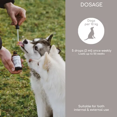 Wolfsbacher Natur Organic Black Seed Oil for Dogs