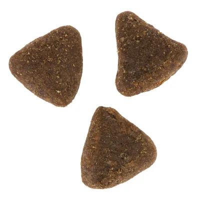 Three triangular pieces of dry pet food shown close up to display shape and texture.
