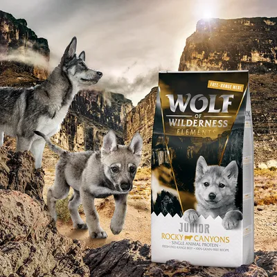 Wolf of Wilderness Elements Junior Rocky Canyons, Single Animal Protein, Free-Range Meat, frisches Rindfleisch, 100% getreidefreie Rezeptur.