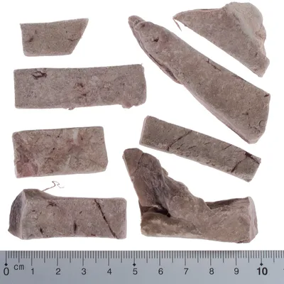 Mehrere braune Stücke eines getrockneten Produkts, verschiedene Formen und Grössen, mit Massstab in Zentimetern darunter.