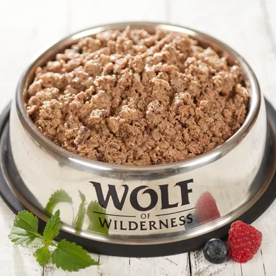 Wolf of Wilderness märkäruoka ruostumattomasta teräksestä valmistetussa kupissa, koristeltu vadelmalla, mustikalla ja mintunlehdellä.
