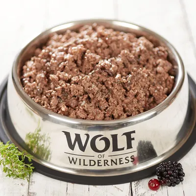 Wolf of Wilderness märkäruoka ruostumattomasta teräskulhosta, ympärillä tuoreita yrttejä ja marjoja. Näkyvä koostumus luonnollisista ainesosista.