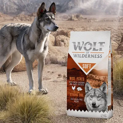 Sacco da 12 kg di Wolf of Wilderness Soft, visibile testo: Wide Acres with fresh chicken and sweet potato, for your strong dog, 100% grain-free recipe. Lupo in piedi accanto al sacco.