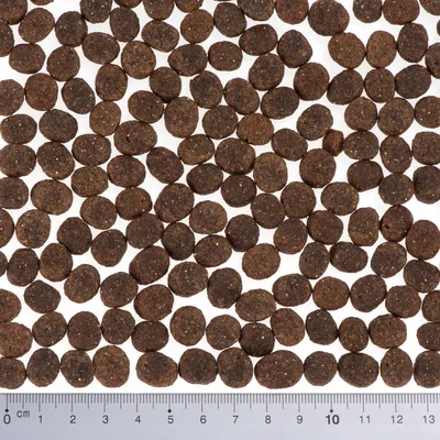 Lähikuva ruskeista, pyöreistä kuivaruokanappuloista ja senttimetrimittari koon määrittämiseen.