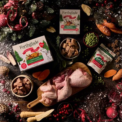 Forthglade Complete Meal Grain-Free Adult Dog - Christmas Classics