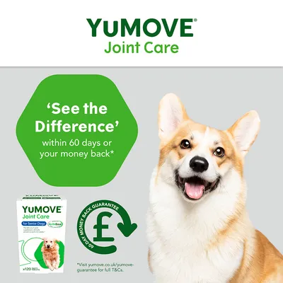 YuMOVE Joint Care für ältere Hunde. Geld-zurück-Garantie bei Nichtzufriedenheit innerhalb von 60 Tagen. Produktabbildung mit Hund und Verpackung.