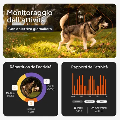 Monitoraggio dell'attività con obiettivo giornaliero, distribuzione dell'attività: moderata 35%, intensa 15%, bassa 50%. Rapporti sull'attività con 3435 passi e 6,5 km. Monitoraggio dell'attività con obiettivo giornaliero, distribuzione dell'attività: moderata 35%, intensa 15%, bassa 50%. Rapporti sull'attività con 3435 passi e 6,5 km.