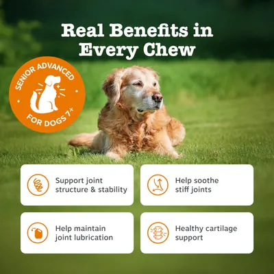 Zesty Paws Senior Hip & Joint Chews pulyka