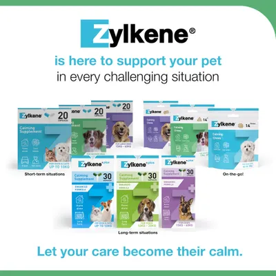 Zylkene Calming Supplement for Medium Dogs 10 - 30 kg - 20 Capsules Zylkene Calming Supplement for Medium Dogs 10 - 30 kg - 20 Capsules