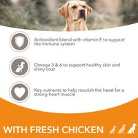 Dry Dog Food | Buy at lowest prices at bitiba.co.uk