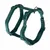 34 - 49 cm circ. torace x H 1,5 cm