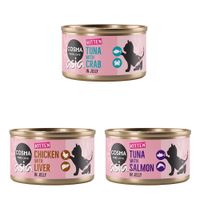 Korzystny pakiet Cosma Asia Kitten w galarecie, 12 x 85 g