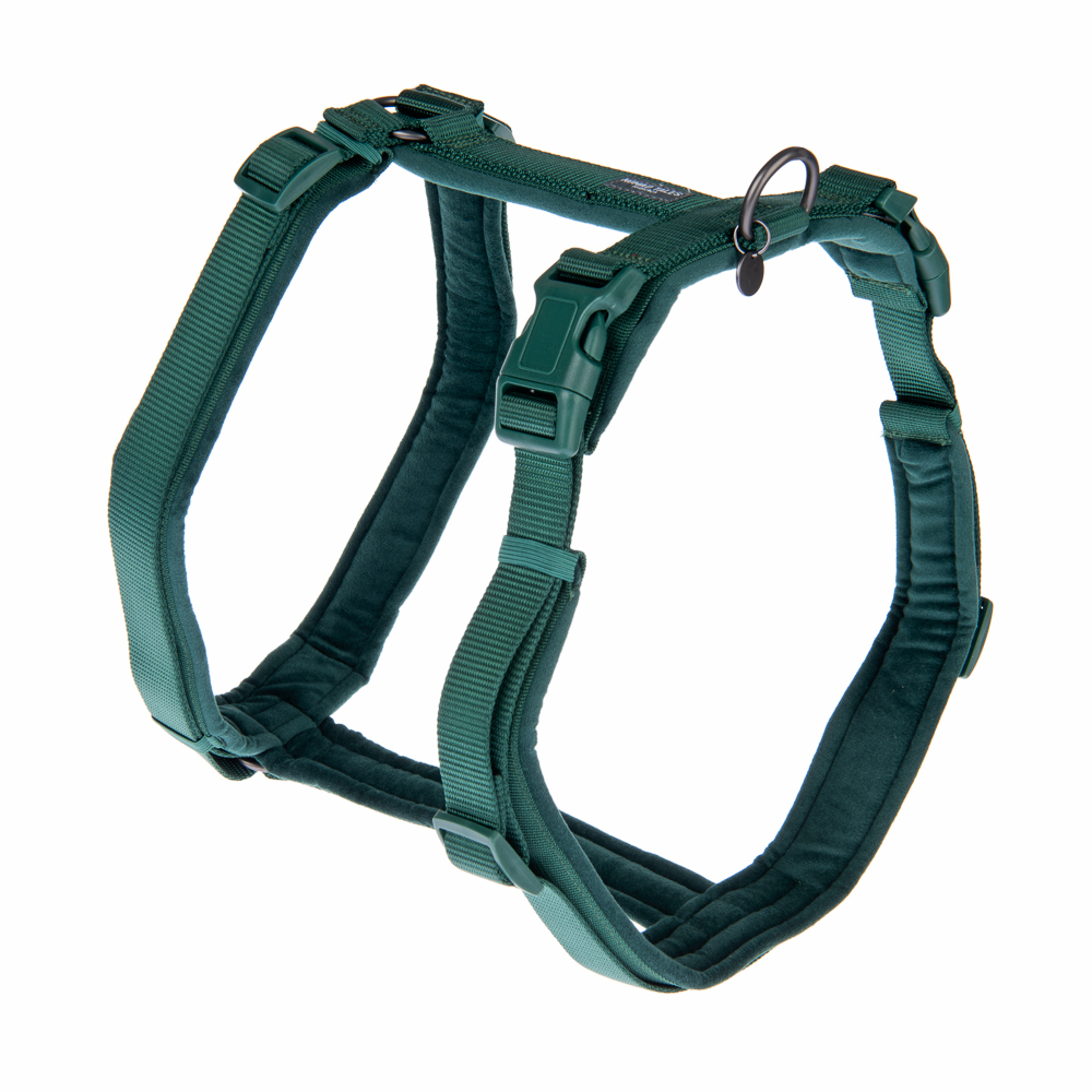 Nomad Tales Blush sele, emerald - Stl. L: 60 - 91 cm bröstomfång, B 25 mm