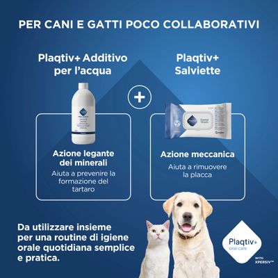 Plaqtiv+ Additivo per l'acqua e Plaqtiv+ Salviette dental. Il legame minerale previene il tartaro, l'azione meccanica rimuove la placca. Per una semplice igiene orale quotidiana.