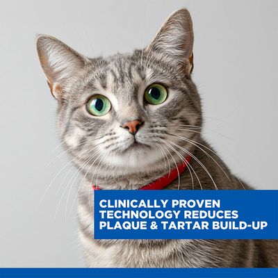 Hill's Science Plan Oral Care Adult 1+ with chicken, clinically proven kibble technology to reduce plaque and tartar build-up, no artificial preservatives, colours or flavours.